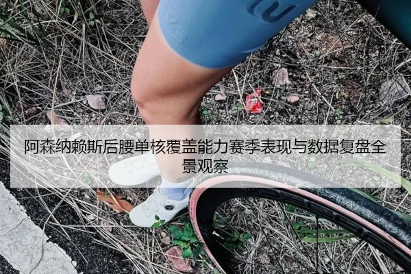 阿森纳赖斯后腰单核覆盖能力赛季表现与数据复盘全景观察